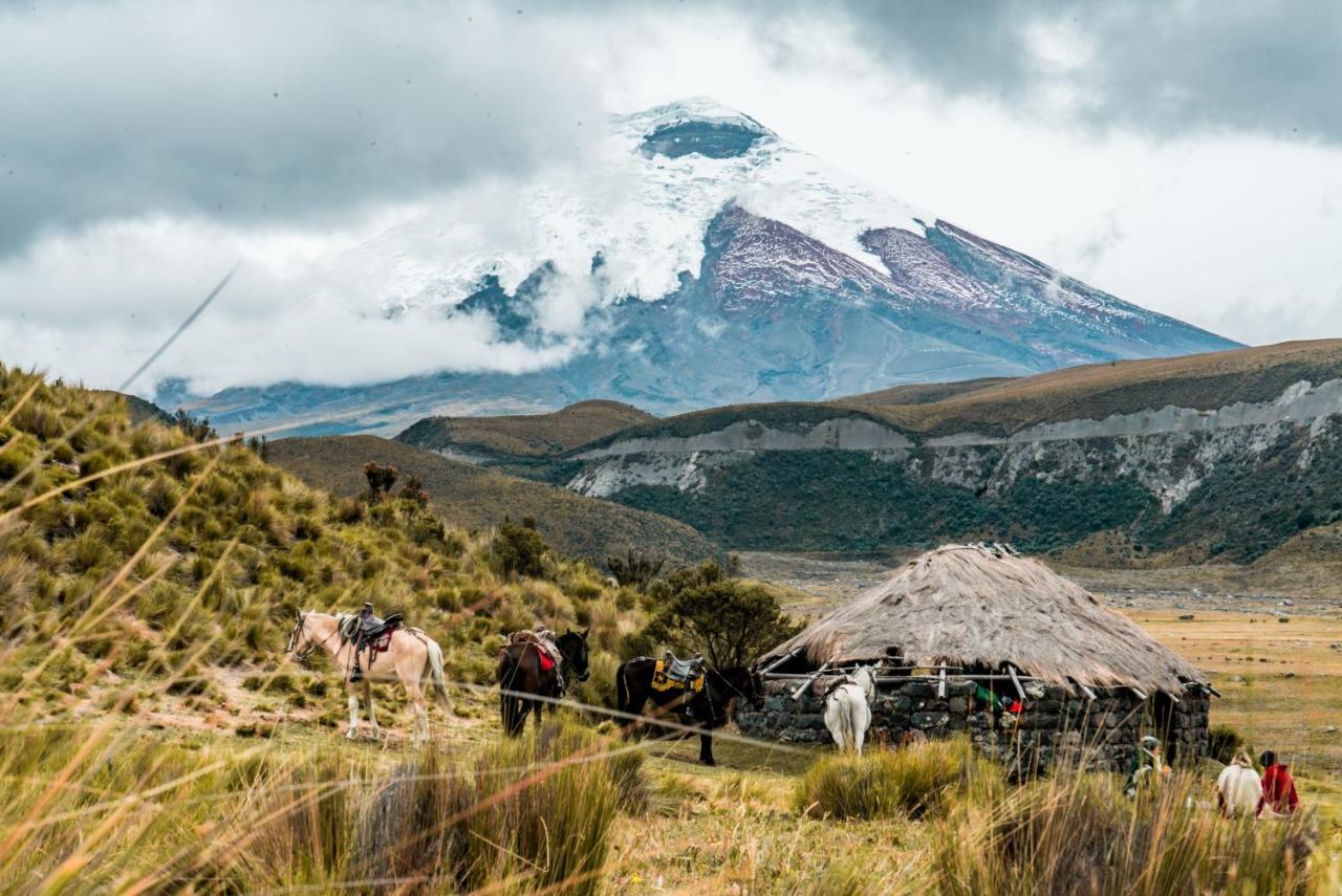 The Secret Garden Cotopaxi Hacienda Porvenir Exterior foto